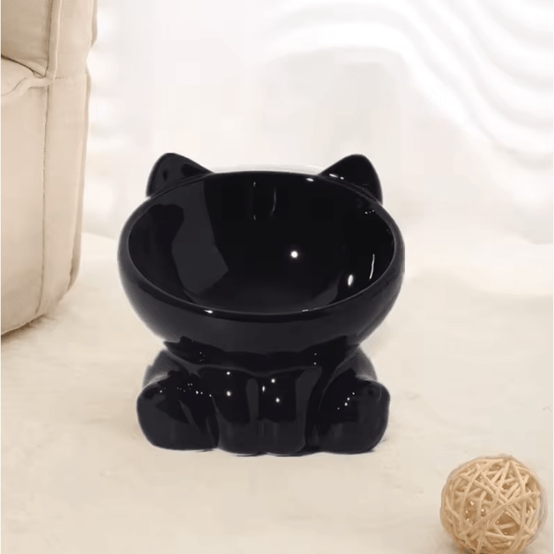 Elevated Ceramic Cat Bowl For Comfortable Feeding 7