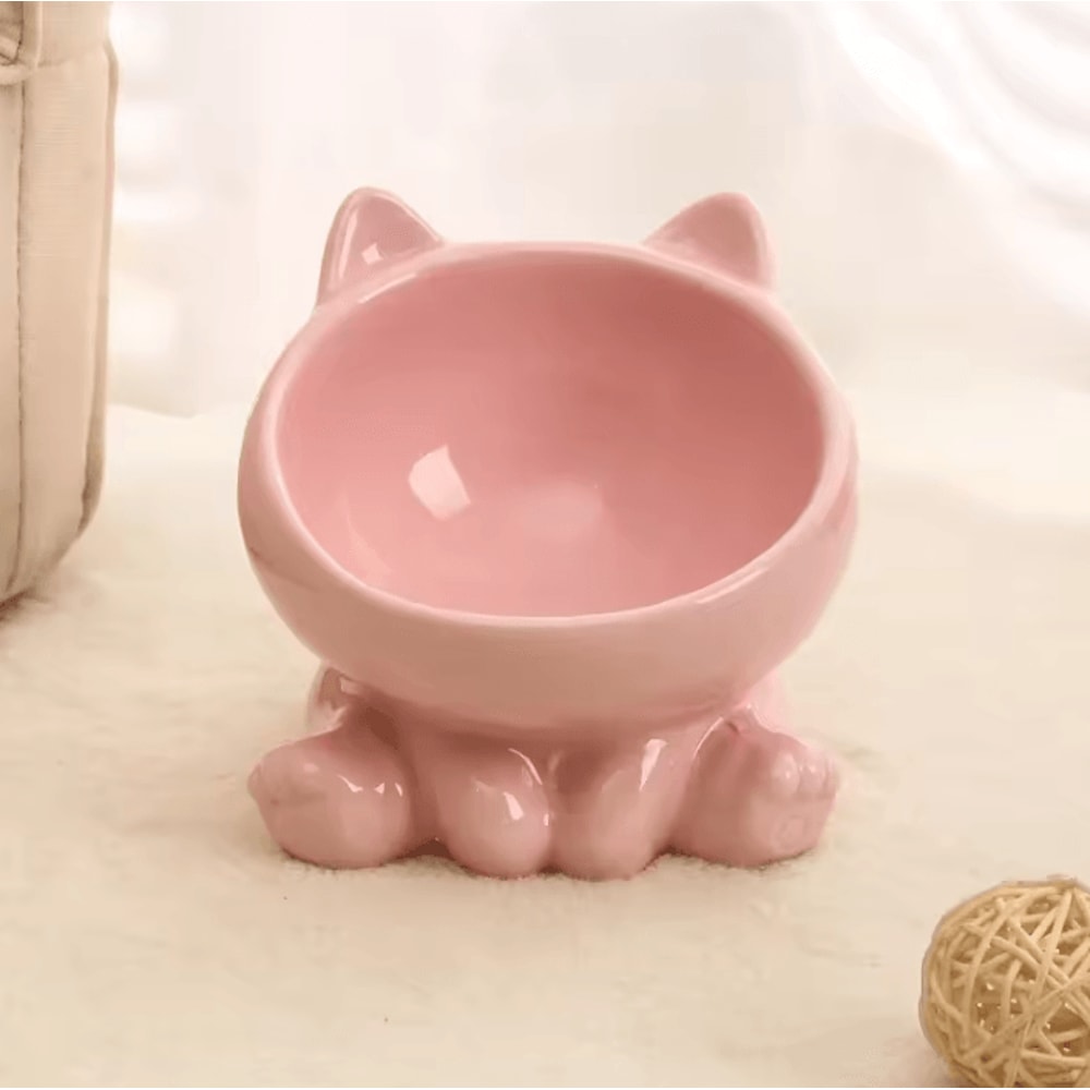 Elevated Ceramic Cat Bowl For Comfortable Feeding 8