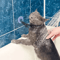 HandsFree Pet Shower Restraint Collar For Cats Small Dogs 0