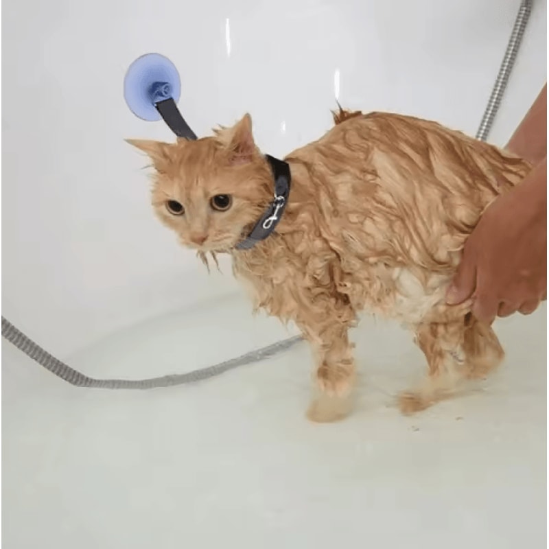 HandsFree Pet Shower Restraint Collar For Cats Small Dogs 1