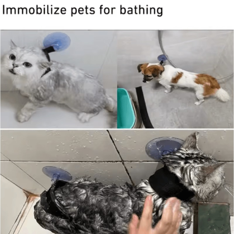 HandsFree Pet Shower Restraint Collar For Cats Small Dogs 2