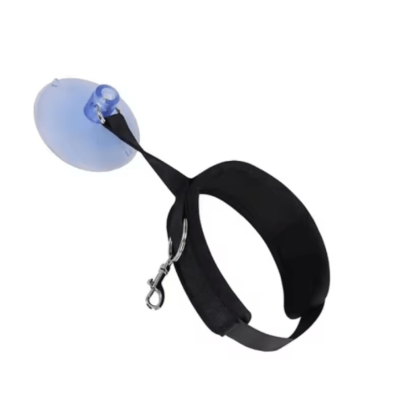 HandsFree Pet Shower Restraint Collar For Cats Small Dogs 4