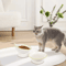 ComfortLift Elevated Cat Food Water Bowl 1