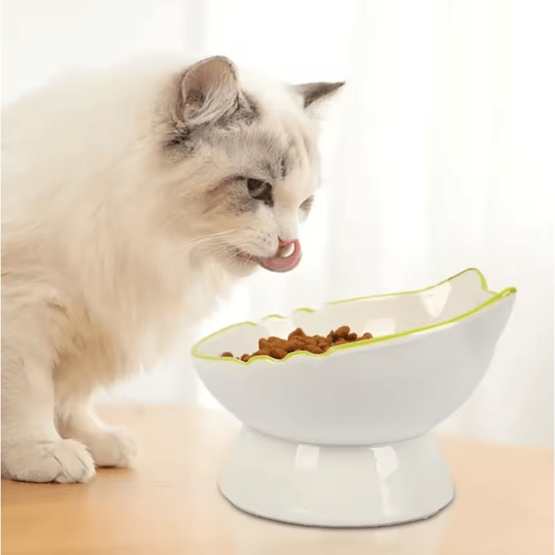 ComfortLift Elevated Cat Food Water Bowl 2