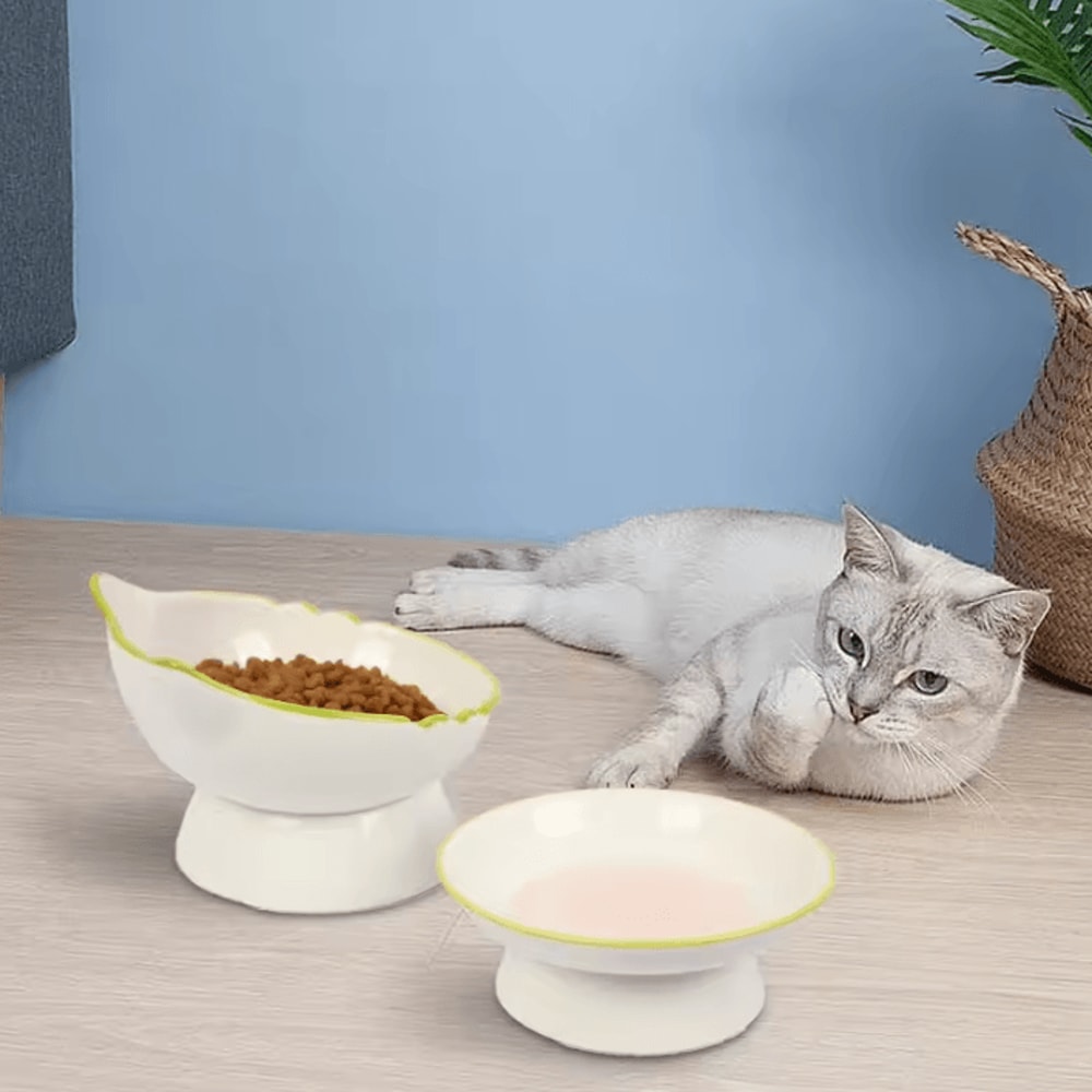 ComfortLift Elevated Cat Food Water Bowl 3