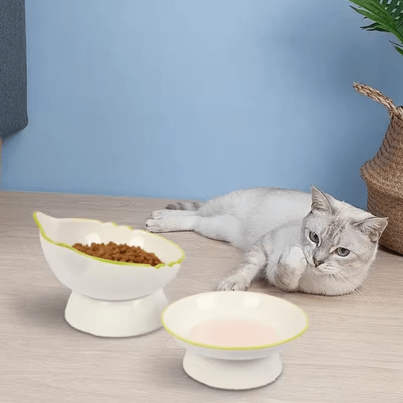 ComfortLift Elevated Cat Food Water Bowl 3