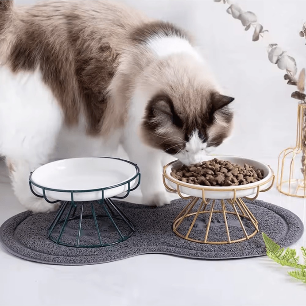 ComfortNest Elevated Ceramic Pet Feeding Bowl 0