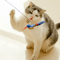 FeatherFly Interactive Bird Teaser Cat Toy 2