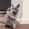 ComfortGuard Lightweight Recovery Cone Collar For Cats Dogs 0