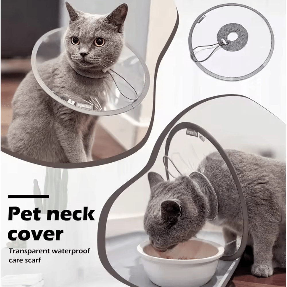 ComfortGuard Lightweight Recovery Cone Collar For Cats Dogs 2