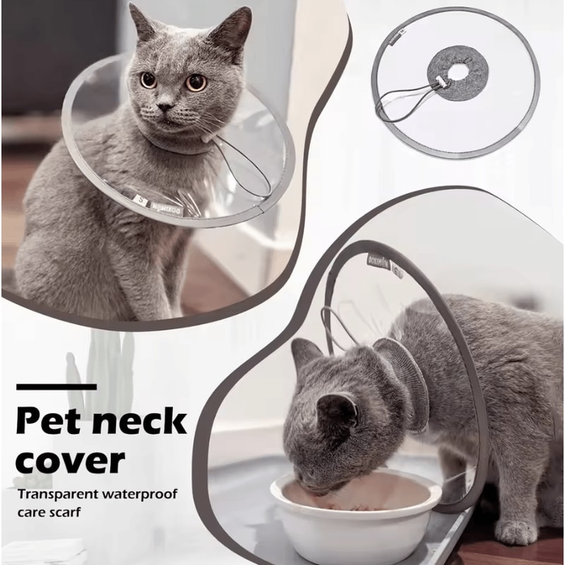 ComfortGuard Lightweight Recovery Cone Collar For Cats Dogs 2