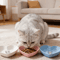 EasyReach 3Piece Shallow Pet Food Water Bowl Set 2