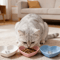 EasyReach 3Piece Shallow Pet Food Water Bowl Set 2