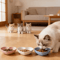EasyReach 3Piece Shallow Pet Food Water Bowl Set 3