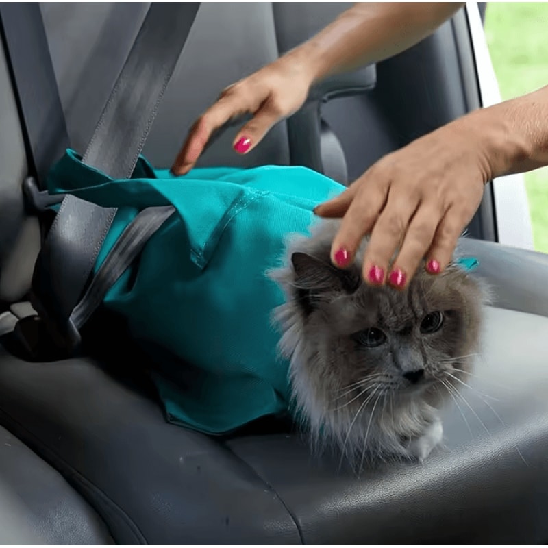 CozyCarry Calming Cat Carrier Bag 1
