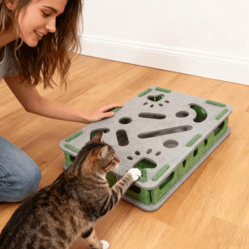 ScratchPlay Interactive Cat Scratcher Box 0
