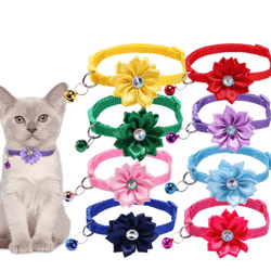 blossombell floral bow pet collar