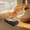 CleanStep Cat Litter Ramp Tracking Mat 2