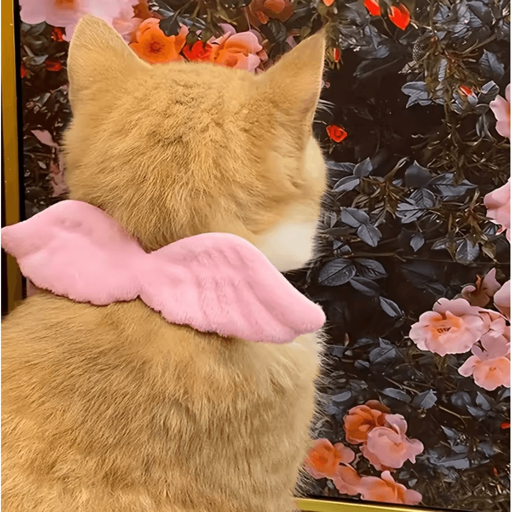 AngelWing Bow Tie Pet Costume Collar 2