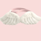 AngelWing Bow Tie Pet Costume Collar 4