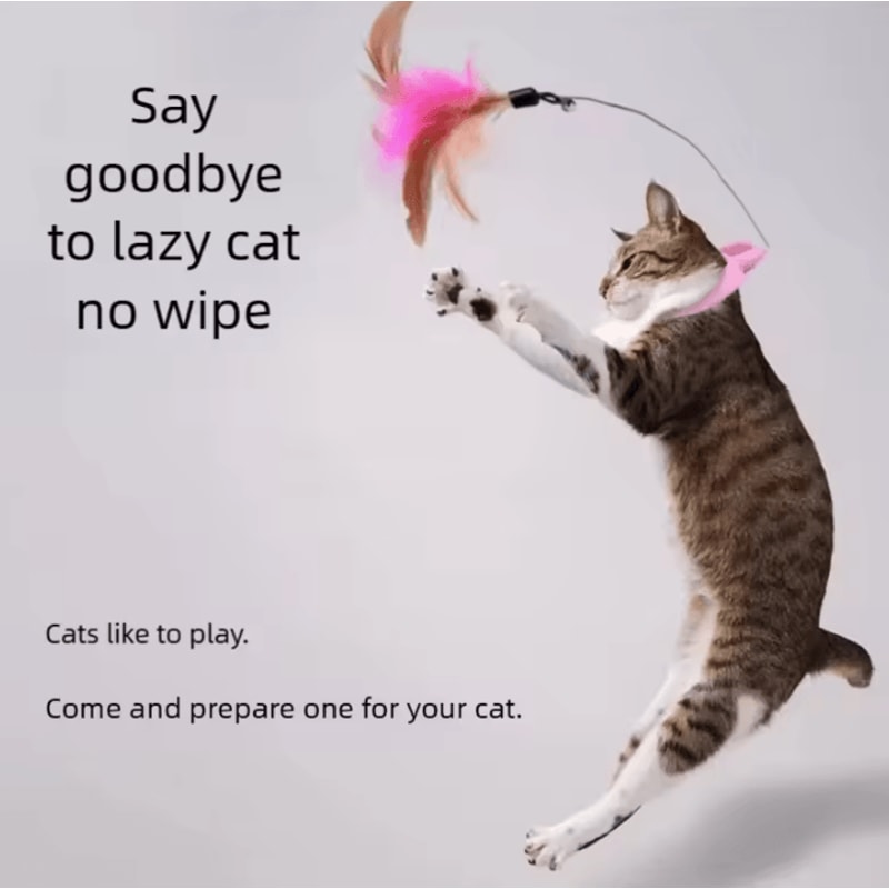FeatherLoop SelfPlay Cat Collar Toy 0