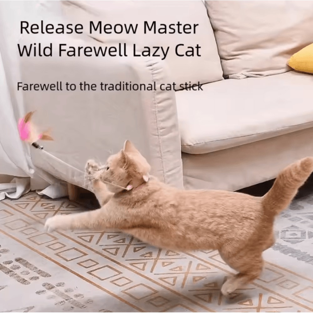 FeatherLoop SelfPlay Cat Collar Toy 2
