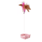 FeatherLoop SelfPlay Cat Collar Toy 5