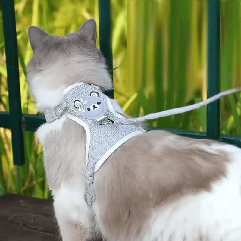 SnugFit Adjustable Kitten Harness Collar Set 1
