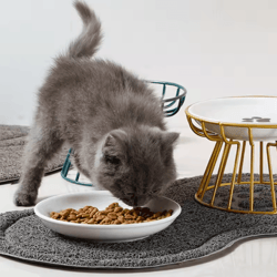 elevaceram raised ceramic pet bowl with iron stand
