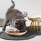 ElevaCeram Raised Ceramic Pet Bowl With Iron Stand 0