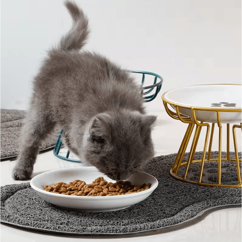 ElevaCeram Raised Ceramic Pet Bowl With Iron Stand 0