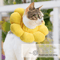 SunBloom Recovery Collar For Cats Small Pets 2
