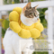 SunBloom Recovery Collar For Cats Small Pets 2