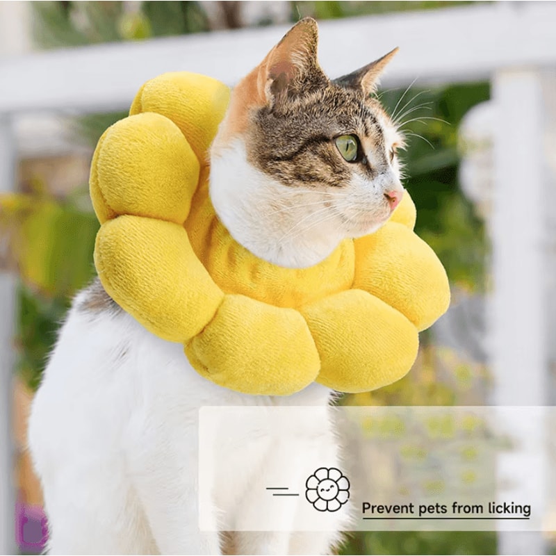 SunBloom Recovery Collar For Cats Small Pets 2