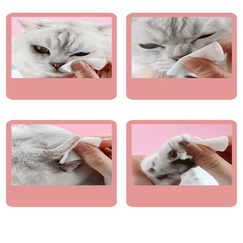 BrightEyes Tear Stain Eye Cleaning Wipes For Pets 3