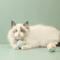 KnotPlay Interactive Cotton Rope Ball Cat Toy 3