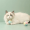 KnotPlay Interactive Cotton Rope Ball Cat Toy 3