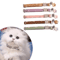 PawPrint Adjustable Breakaway Pet Collar For Cats Small Dogs 1