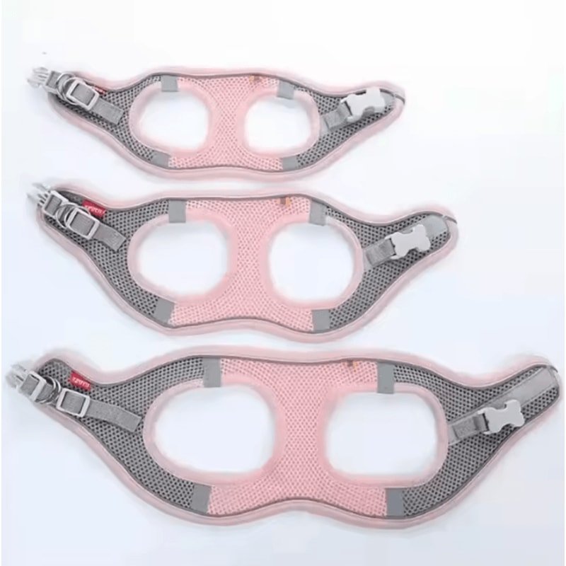 Reflective Breathable Pet Harness Leash Set For Cats And Small Dogs 3