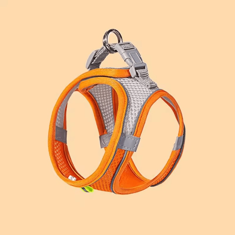 Reflective Breathable Pet Harness Leash Set For Cats And Small Dogs 5