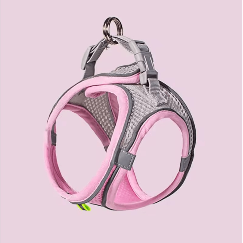 Reflective Breathable Pet Harness Leash Set For Cats And Small Dogs 6
