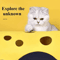 Foldable Cat Tunnel Bed Activity Play Mat For Indoor Cats 1