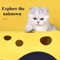 Foldable Cat Tunnel Bed Activity Play Mat For Indoor Cats 1