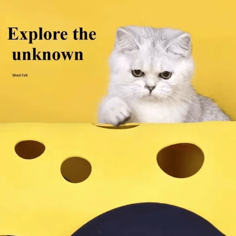 Foldable Cat Tunnel Bed Activity Play Mat For Indoor Cats 1