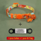 SafeTag Personalized Cat Collar With Engraved ID Bell 3