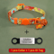 SafeTag Personalized Cat Collar With Engraved ID Bell 3