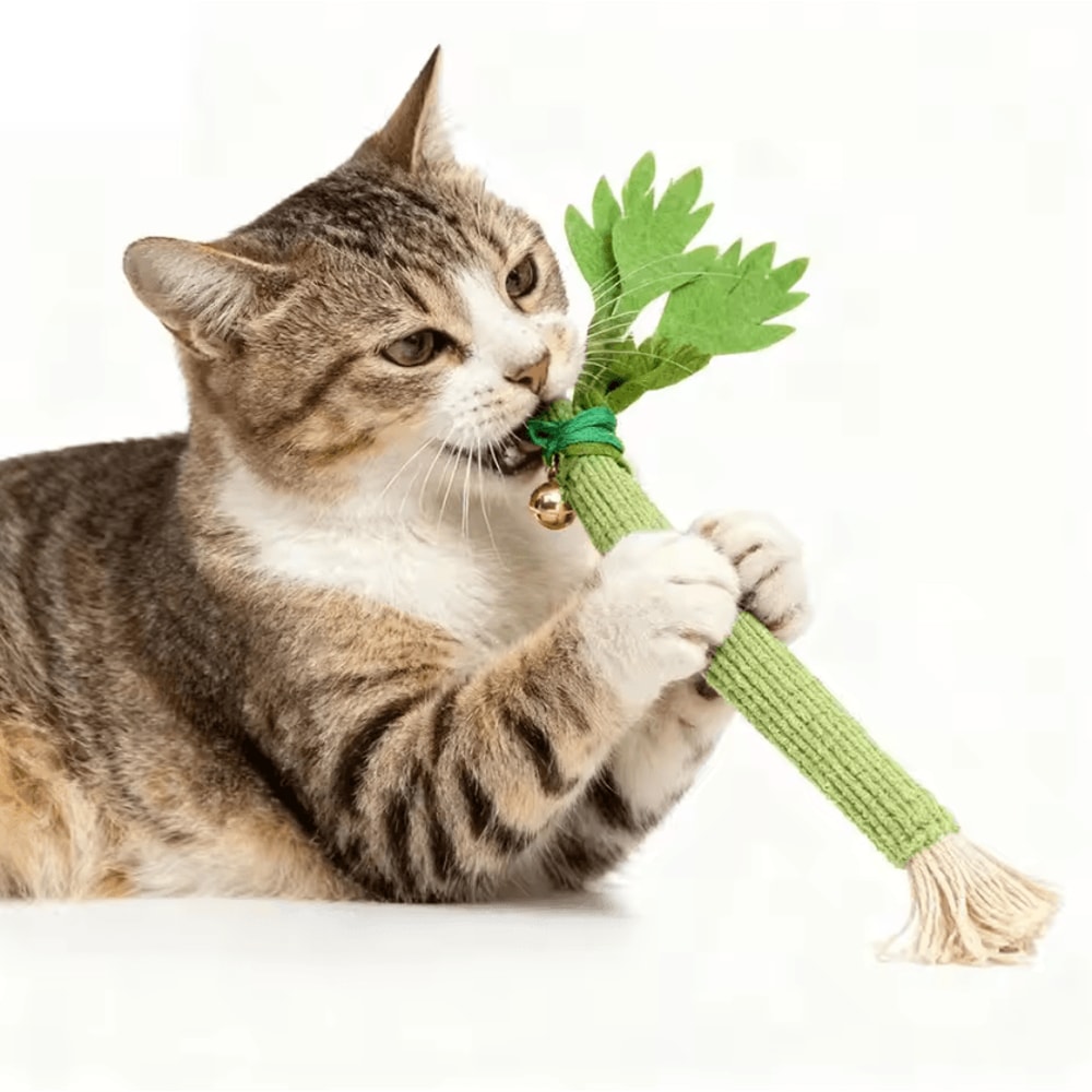 CrunchyCelery Catnip Chew Kicker Toy For Dental Care 0