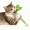 CrunchyCelery Catnip Chew Kicker Toy For Dental Care 0