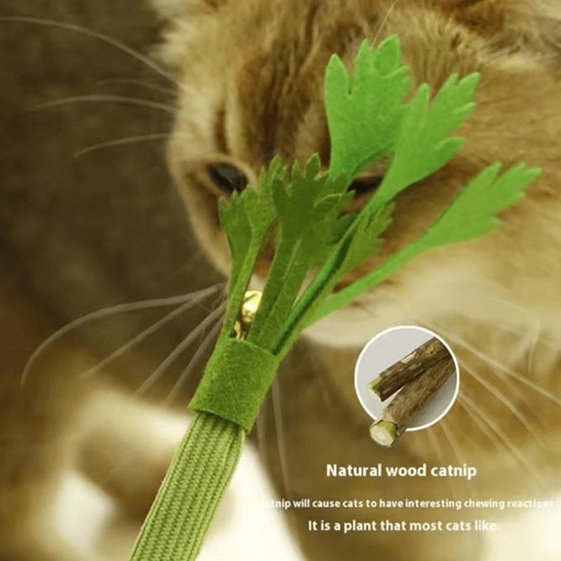 CrunchyCelery Catnip Chew Kicker Toy For Dental Care 2