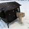 WarmHaven Insulated Outdoor Cat Shelter Winter Nest 1
